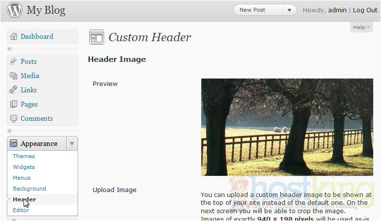 Header In Wordpress