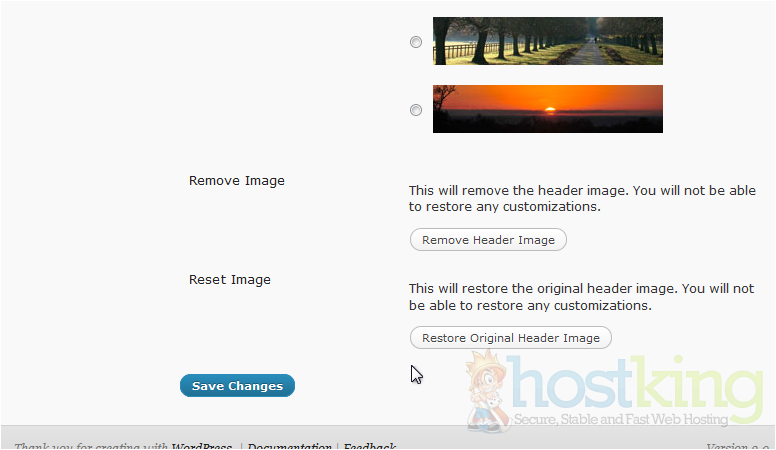 Original Wordpress Header
